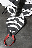 Zebre