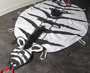 zebre 2